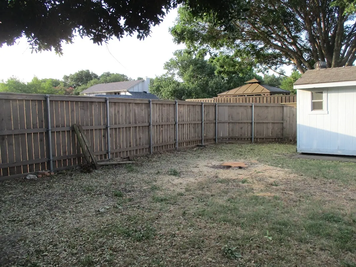 Cleared yard after professional tree removal in Wakefield
